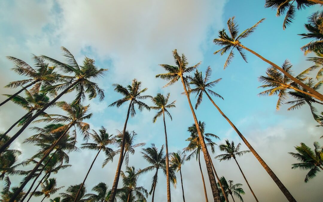 Los 5 rincones mágicos de la Riviera Maya