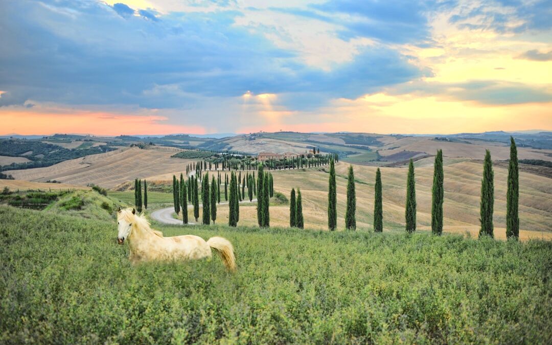 Los rincones secretos de la Toscana: explorando la auténtica Italia